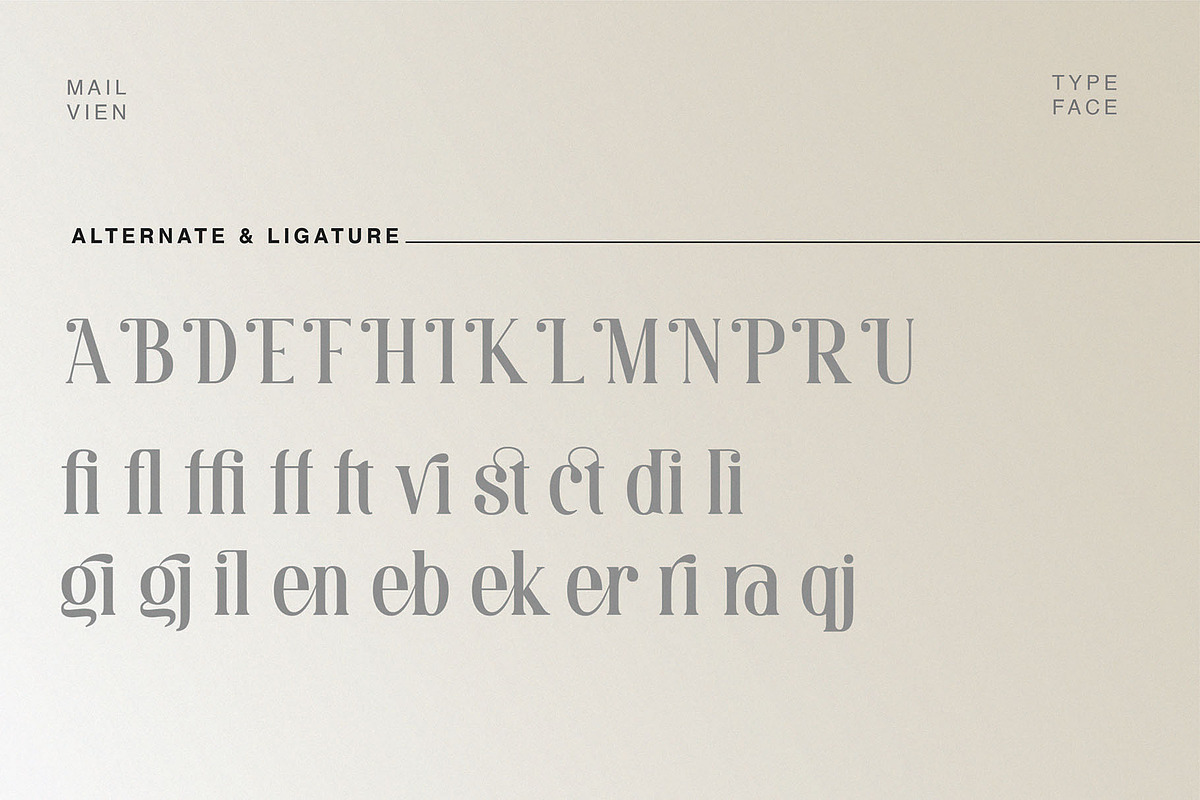 Mailvien - Modern Ligature Typeface, a Serif Font by BrandSemut (Photo 8 of 10)
