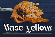 Elegant Facades - Modern Sans Font, a Sans Serif Font by 177Studio (Thumbnail 3 of 8)