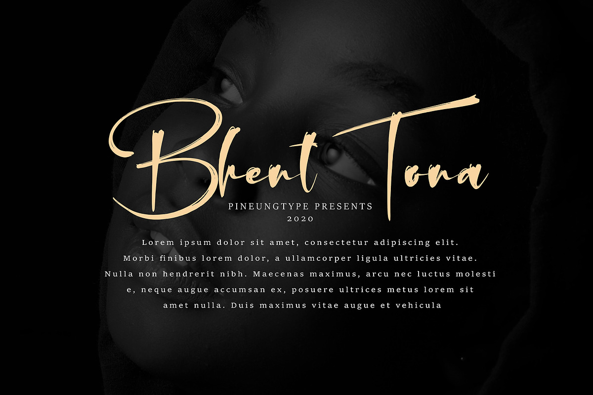 Shiattan Reinata Black Friday preview 8