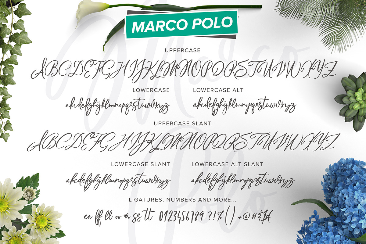 Handlettered Fonts Collection, a Script Font by Ivan Rosenberg (Photo 16 of 18)