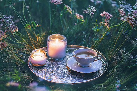 Tea with Fairies 2