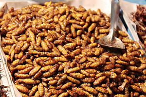 Fried larvas, a Photo by saiko3p