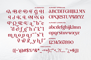 Delvira - Stylish Elegant Serif Font, a Serif Font by Font Liner (Thumbnail 10 of 10)