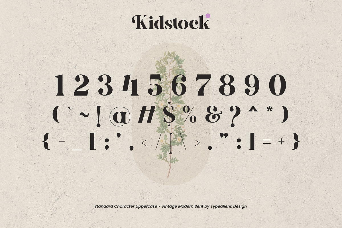 Kidstock, a Serif Font by ilhamtaro (Photo 8 of 11)