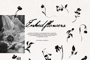 Inked Flowers: elements & art prints, a Decorative Illustration by Yuliia Lashevska (Thumbnail 4 of 9)