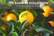 Adobe Lightroom Presets Summer, a Preset Add-On by SabTin Designs (Thumbnail 1 of 4)