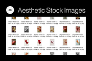 80 Floral Aesthetic Stock Images, a Background Photo by Digital Asset Co (Thumbnail 5 of 9)