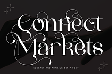 Connect Markets - Modern Serif Font