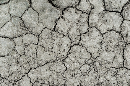 Texture of dry cracked earth., an Abstract Photo by Eugene_Photo