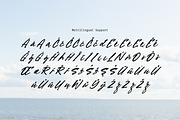 Loving in Dream - Signature Font, a Font by Sronstudio (Thumbnail 13 of 14)