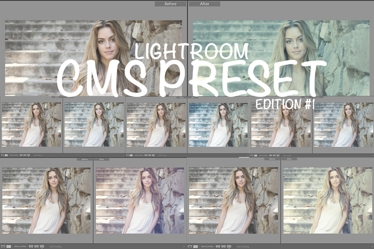 Cinematic Lightroom Preset By Cmsvec, a Plug-in Add-On by CMSvec (Photo 1 of 10)