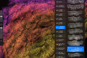 Plumage Atelier. Procreate Brushes, a Brush Add-On by Eldar Zakirov's (Thumbnail 22 of 25)
