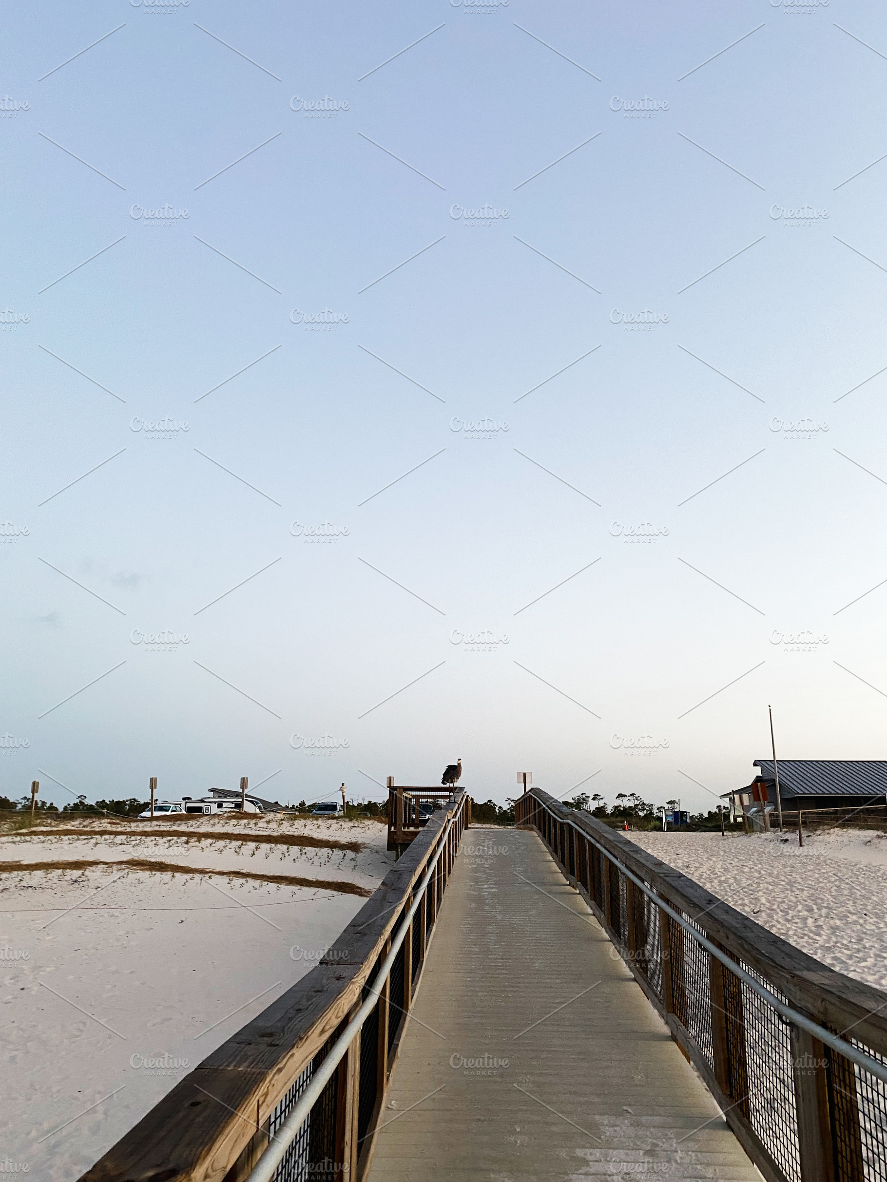 Boardwalk to a Florida Pensacola Beach at Dusk with a Seabird perched on the ra, a Nature Photo by AS photostudio