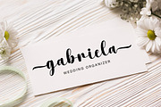 Adelecia, a Script Font by DN Creative (Thumbnail 4 of 7)