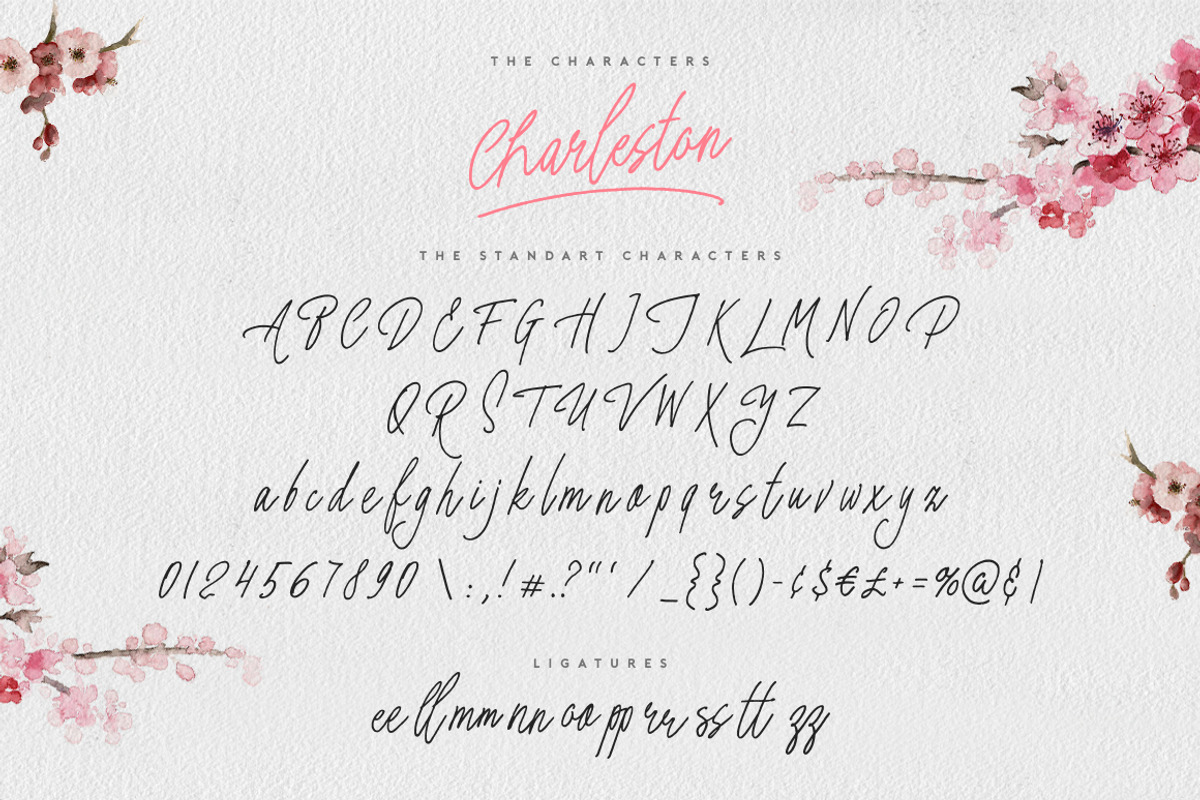 Charleston, a Script Font by Evelyn Richards