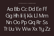Andore - Elegant Modern Serif Font, a Serif Font by Pekotype (Thumbnail 3 of 15)