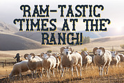 Ram Ranch Western Layered Font, a Serif Font by JumboDesign (Thumbnail 4 of 6)