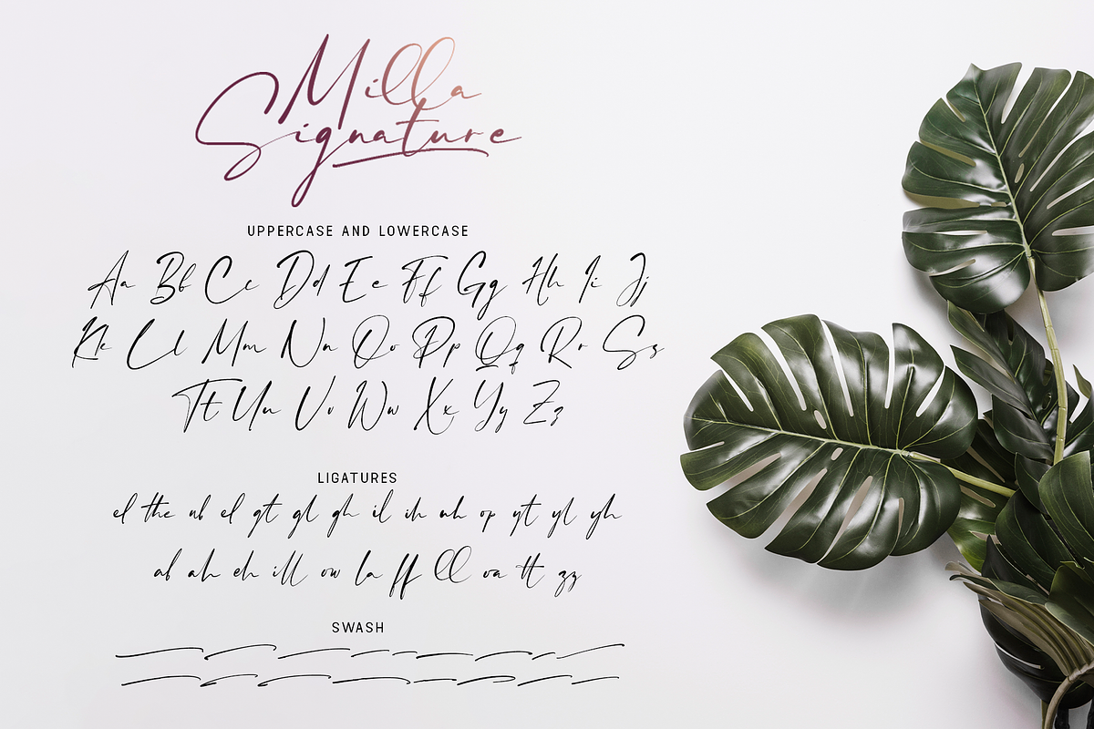 Milla Signature - A Handwritten Font, a Script Font by overlaytemplates (Photo 5 of 5)