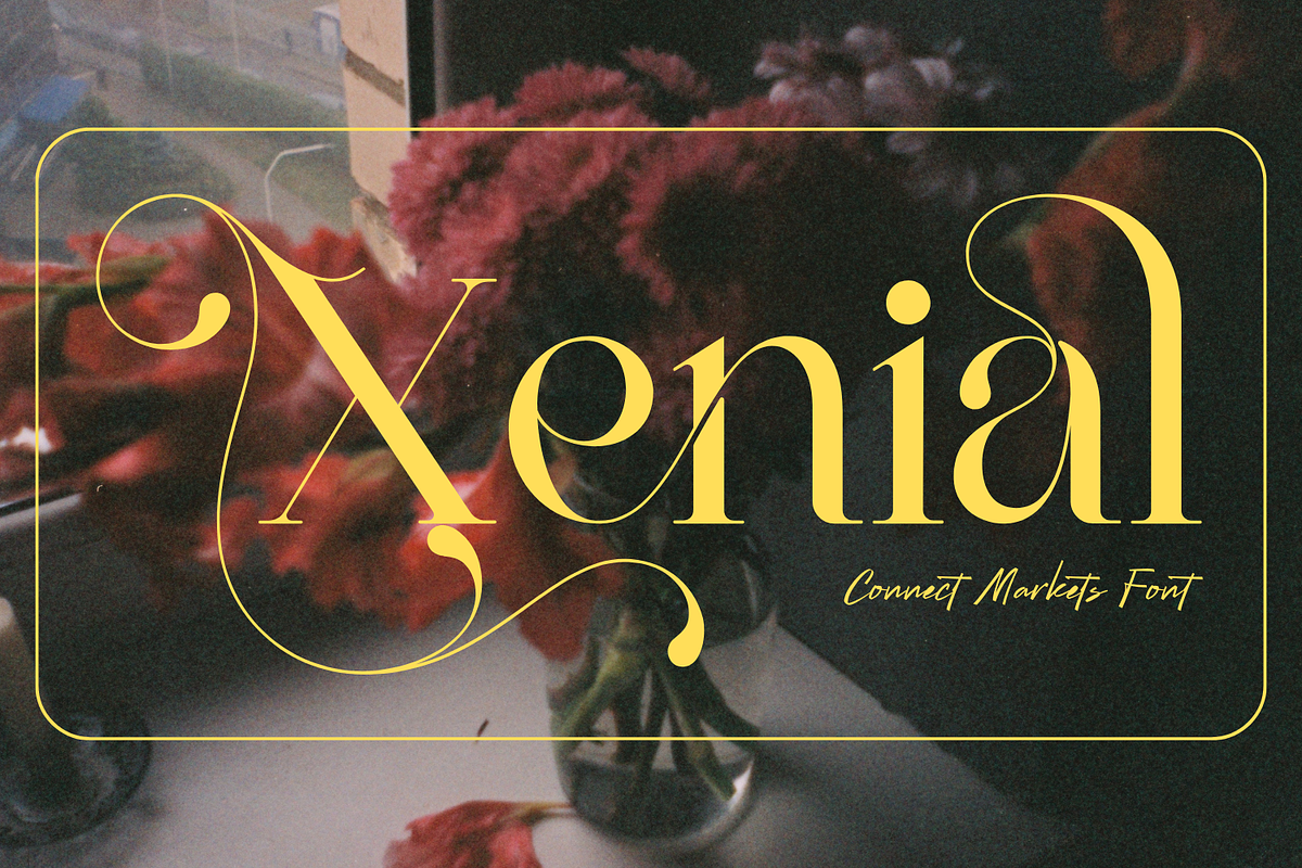 Connect Markets - Modern Serif Font, a Serif Font by 177Studio (Photo 6 of 8)