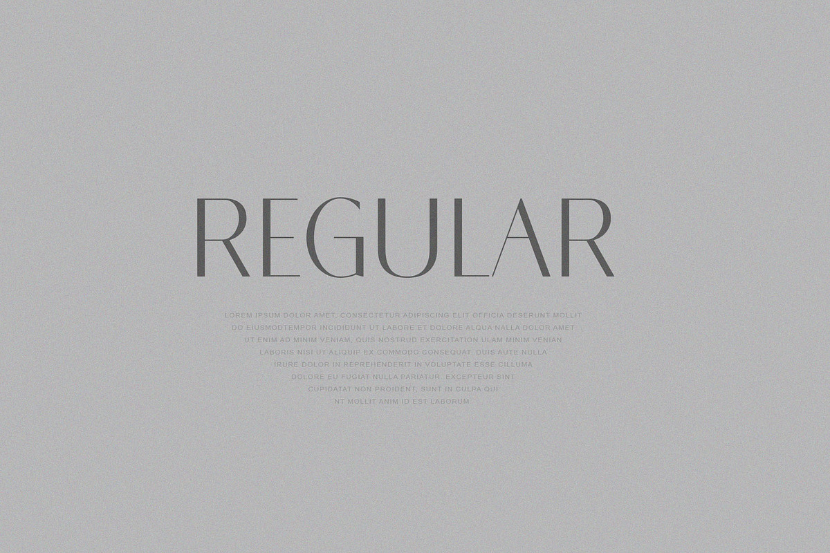 Opaline, a Sans Serif Font by ToniStudio (Photo 7 of 9)