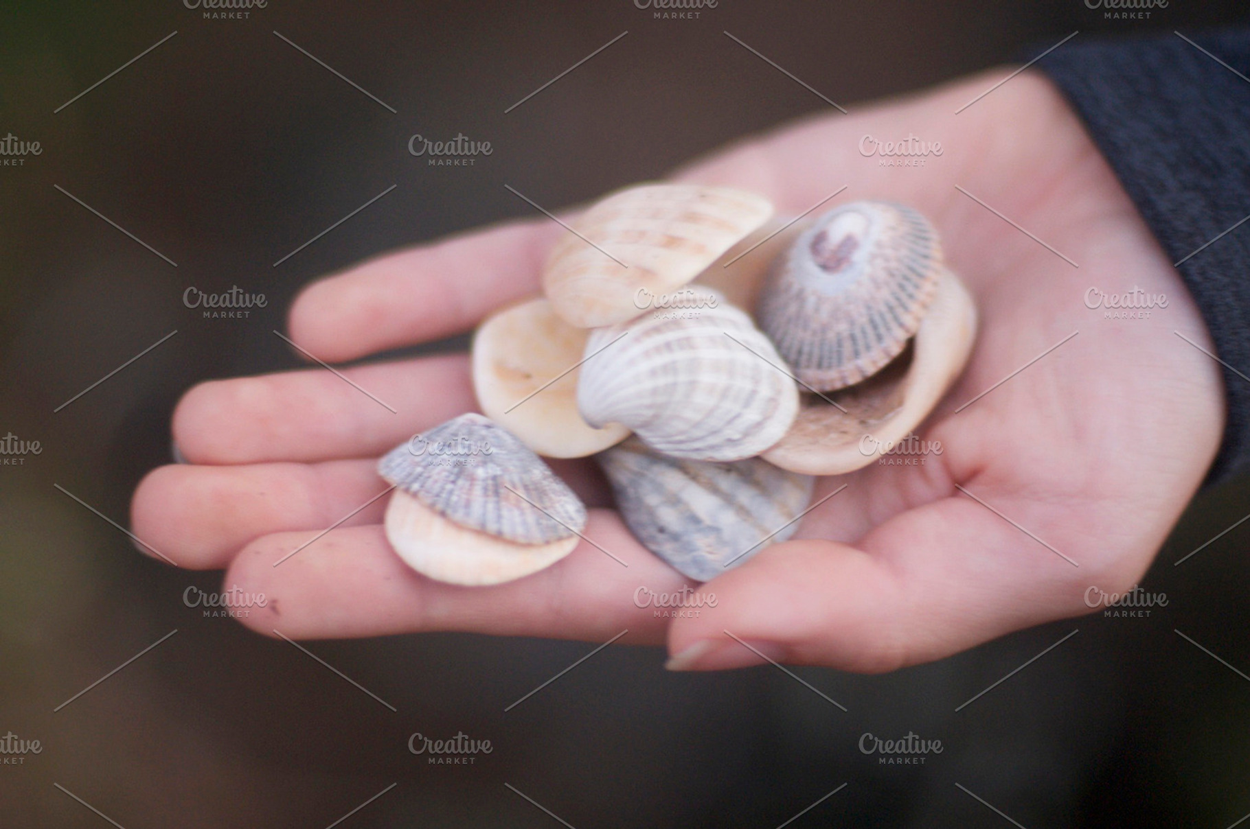 Seashells stock picture, a Person Photo by akstudio