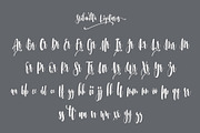Srikonitta Script + Free Vectors, a Script Font by Aldedesign (Thumbnail 9 of 11)