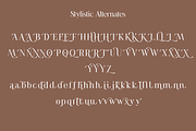 Casanova Elegant Serif Display, a Serif Font by Typetemp Studio (Thumbnail 27 of 30)
