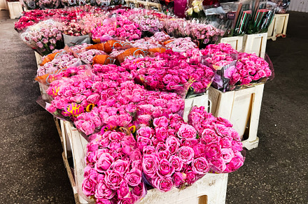 Abundant display of pink rose bouquets at a vibrant flower market, a Photo by AS photostudio