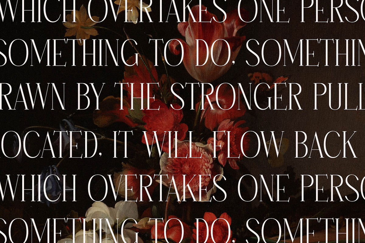 Hanchern Display Serif Font, a Serif Font by Storytype Studio (Photo 7 of 15)