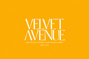 Anemone - Elegant & Modern Sans, a Sans Serif Font by Mikhail Kitsune (Thumbnail 3 of 8)