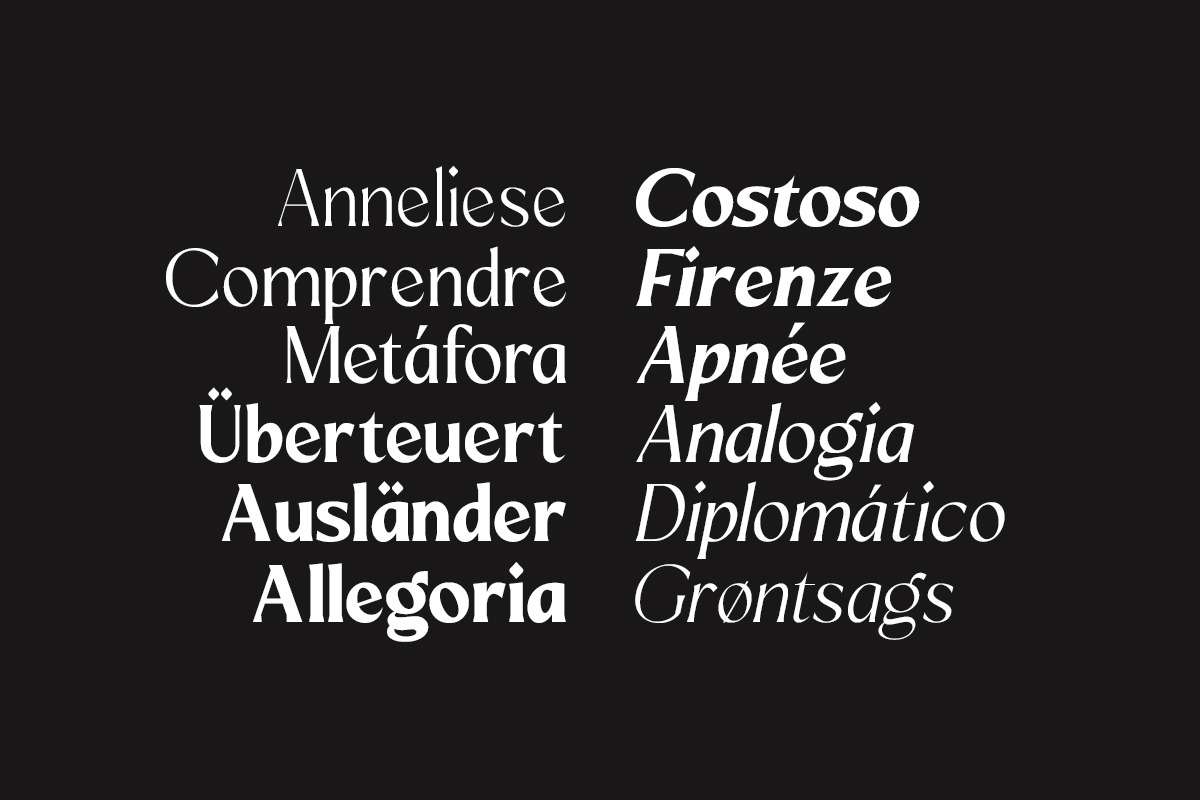 Mizhon Flare | 12 Fonts, a Serif Font by Skinny Type (Photo 7 of 8)