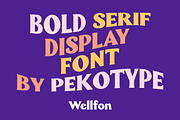 Wellfon - Modern Retro Serif Font, a Serif Font by Pekotype (Thumbnail 3 of 11)