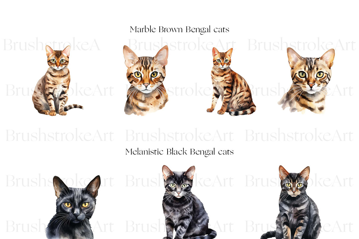 Cute Bengal Cat Clipart, Cute Cats, an Animal Illustration by BrushstrokeArtGB (Photo 5 of 10)
