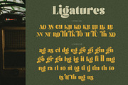 Brolike Typeface, a Serif Font by alit design (Thumbnail 12 of 18)