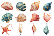 Seashells Watercolor Illustrations, an Object Illustration by Evgeniia (Thumbnail 3 of 3)