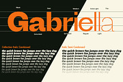 Degitan, a Sans Serif Font by Propertype (Thumbnail 5 of 10)