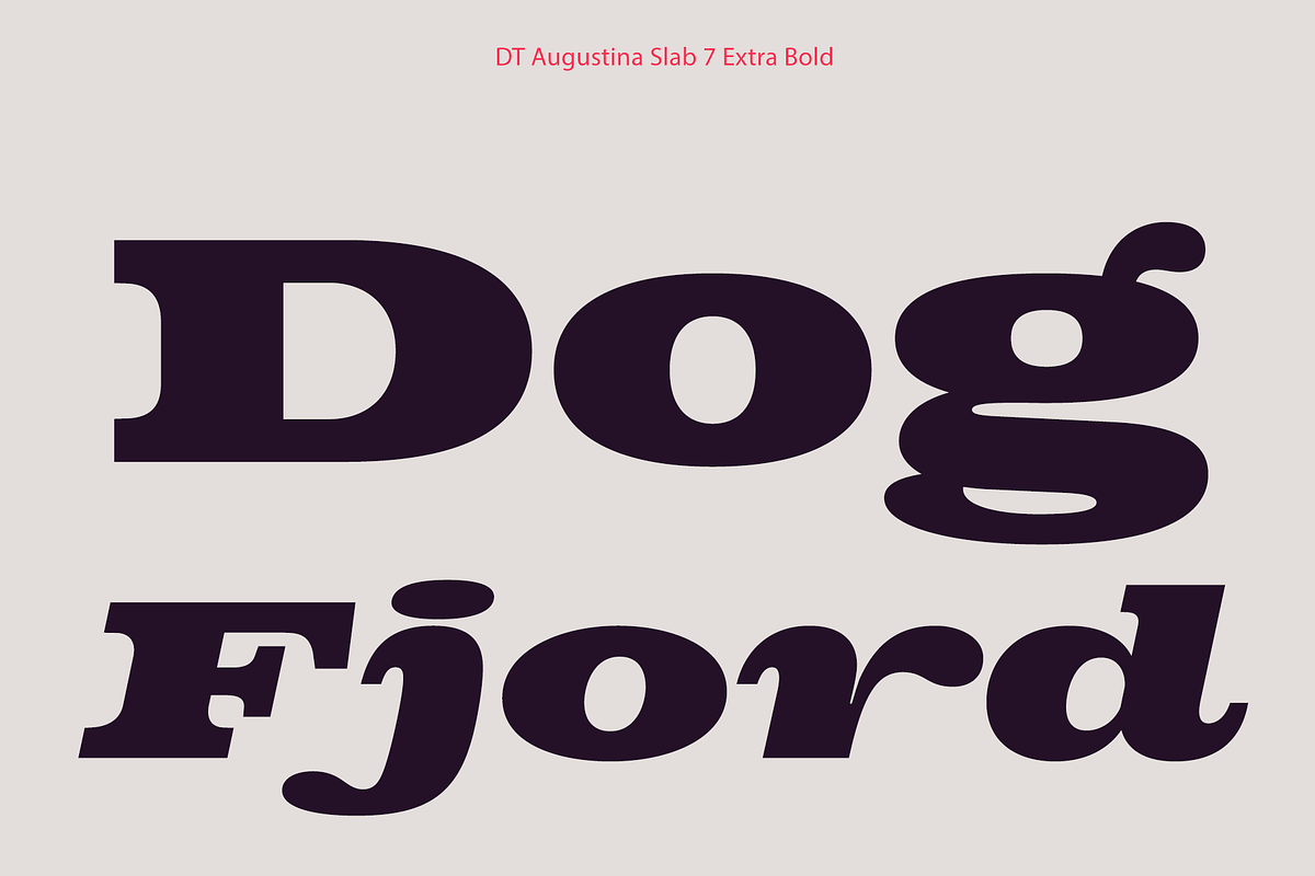 DT Augustina Slab 7 Subfamily, a Slab Serif Font by Deveze Type Foundry (Photo 15 of 31)