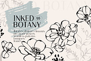 INKED BOTANY line art set, a Decorative Illustration by Yuliia Lashevska (Thumbnail 1 of 12)