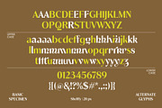 Shelffy, a Sans Serif Font by Dora Typefoundry (Thumbnail 9 of 14)