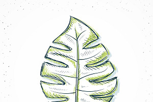 Isolated sketch palm leaf handmade