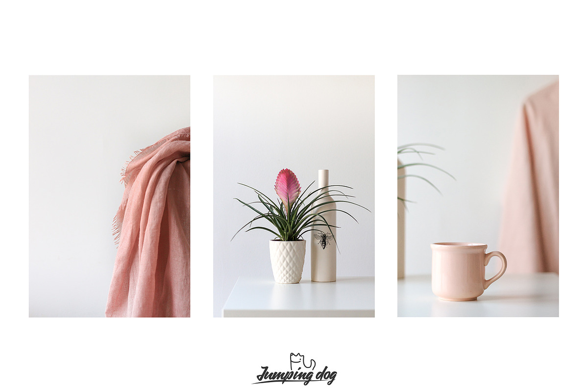 Pale Pink & Soft Beige Photo Pack, a Social Media Template by Jumping Dog (Photo 4 of 6)