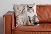 Watercolor Cat Breeds – Volume 1, an Animal Illustration by PrintHaven Designs (Thumbnail 10 of 10)