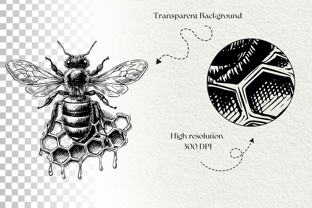 Vintage Honey Bee Illustrations, a Food Illustration by DENIDigitalArtSudio (Photo 5 of 5)