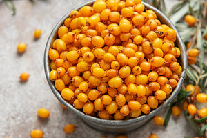 Fresh sea buckthorn berries overflowing a small metal bucket, a Food & Drink Photo by Olena Rudo