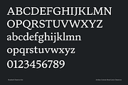 Artikan: 12 Text Serif Fonts, a Serif Font by Eko Bimantara (Thumbnail 9 of 18)