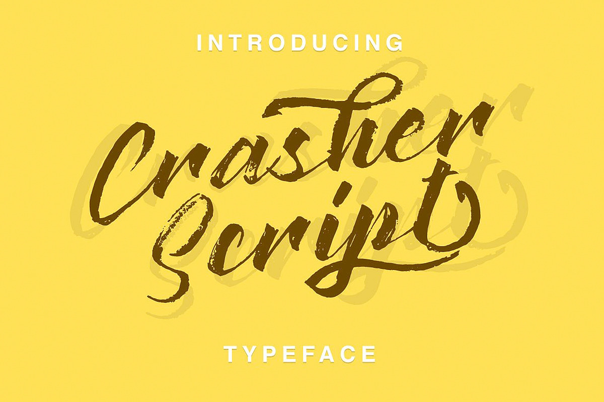 27 IN 1 FONT BUNDLE - 98% OFF preview 3