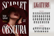 Boserich, a Serif Font by Burntilldead (Thumbnail 5 of 12)