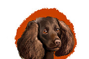 Dogs Pet Portraits Art Print Set 6, an Animal Illustration by Dneprstock (Thumbnail 3 of 5)