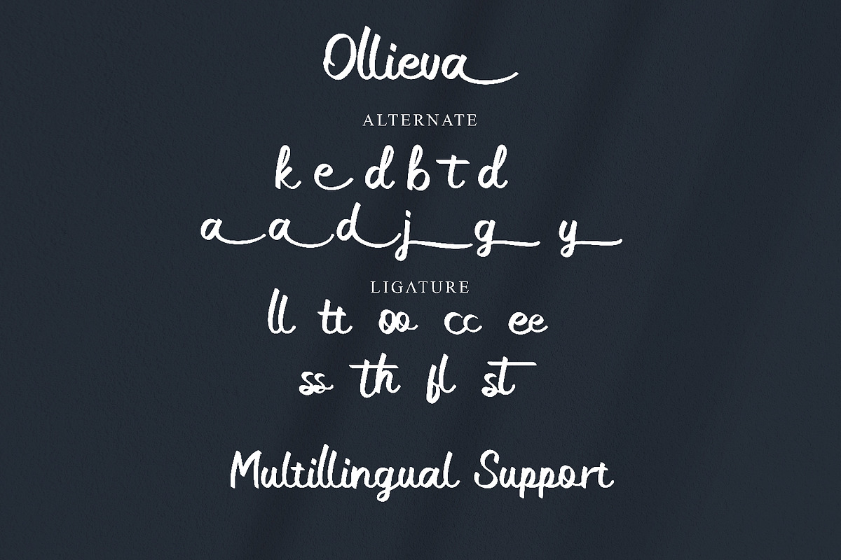Ollieva Handwritten Script Font, a Script Font by BumbleGraph Studio (Photo 8 of 10)