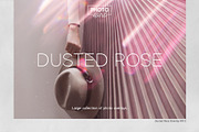 Dusted Rose Overlays, a Brushes & More by PhotoSpirit (Thumbnail 1 of 10)